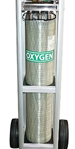 Single Vessel Oxygen Storage System